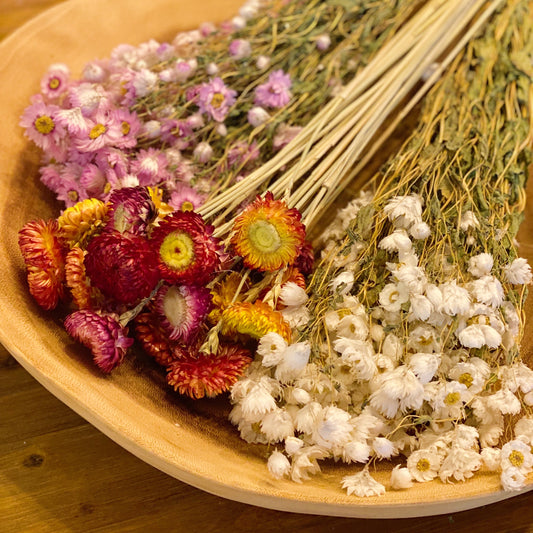 Captured Beauty Dried Flower Bunch